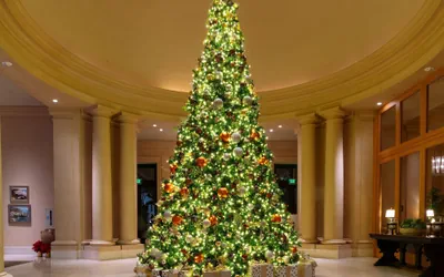 Photo 4 - The Resort at Pelican Hill