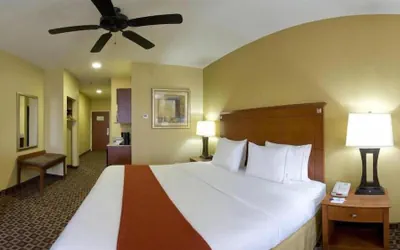 Photo 4 - Holiday Inn Express McComb by IHG