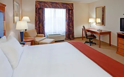 Photo 4 - Holiday Inn Express & Suites Albany Airport Area - Latham by IHG