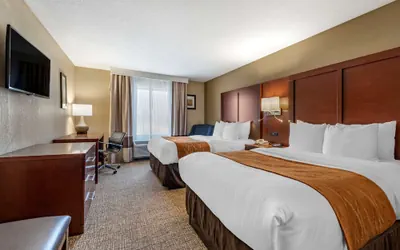 Photo 5 - Comfort Inn & Suites Muncie Near University