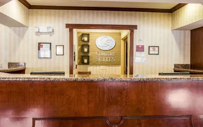Photo 4 - Comfort Suites Canton - Detroit