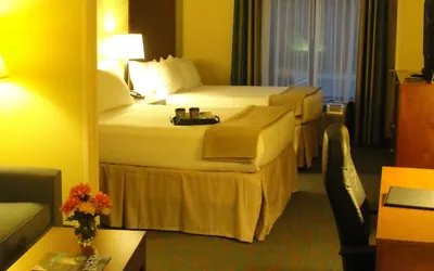 Photo 5 - Holiday Inn Express & Suites Atlanta East – Lithonia by IHG