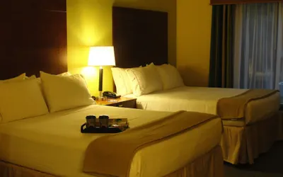 Photo 4 - Holiday Inn Express & Suites Atlanta East – Lithonia by IHG