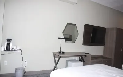 Photo 4 - Holiday Inn Express Hotel & Suites Shamrock North by IHG