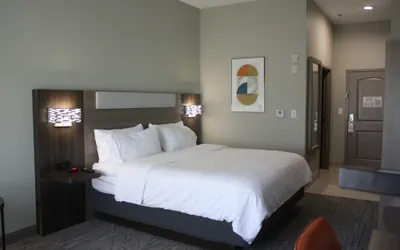 Photo 3 - Holiday Inn Express Hotel & Suites Shamrock North by IHG
