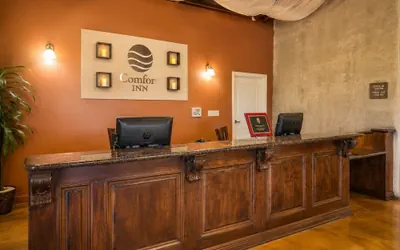 Photo 3 - Comfort Inn Pomona near Fairplex