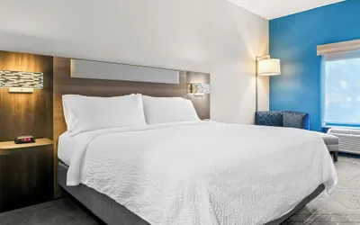 Photo 3 - Holiday Inn Express Hotel & Suites Detroit-Novi by IHG
