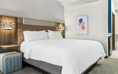 Photo 4 - Holiday Inn Express Hotel & Suites Detroit-Novi by IHG