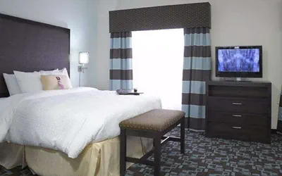 Photo 5 - Hampton Inn & Suites Nashville @ Opryland