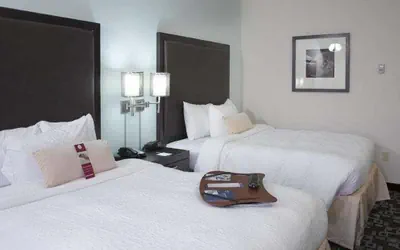 Photo 4 - Hampton Inn & Suites Nashville @ Opryland