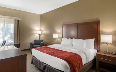 Photo 5 - Comfort Inn & Suites Cedar Hill Duncanville