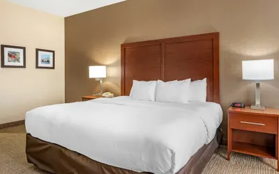 Photo 5 - Comfort Inn Louisville Southwest