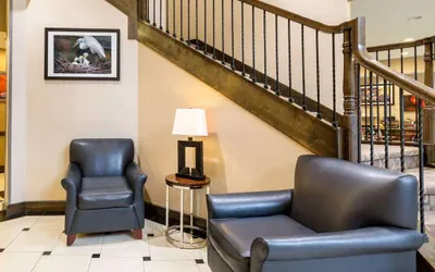 Photo 3 - Comfort Inn & Suites Winnie