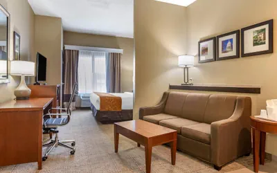 Photo 2 - Comfort Suites Jonesboro University Area