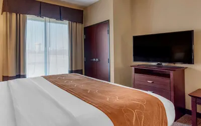 Photo 5 - Comfort Suites Airport South