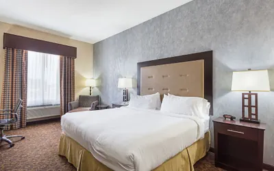 Photo 3 - Holiday Inn Express Hotel & Suites BYRAM by IHG