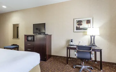 Photo 4 - Holiday Inn Express Hotel & Suites BYRAM by IHG