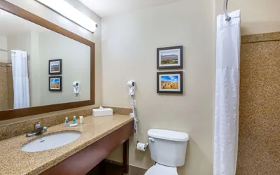 Photo 5 - Comfort Inn & Suites Yuma I-8