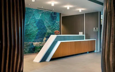 Photo 4 - SpringHill Suites by Marriott Tampa Suncoast Parkway