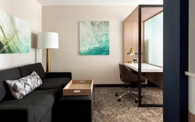 Photo 5 - SpringHill Suites by Marriott Tampa Suncoast Parkway