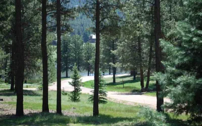 Photo 5 - Outdoor Fire Pit, Wildlife Watching, Monte Verde Lake Ponderosa
