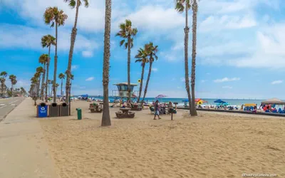 Photo 2 - North Coast Village F-200 Beach Oasis