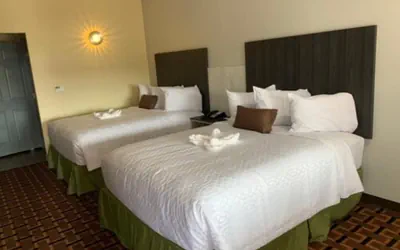 Photo 5 - HomeStay Inn & Suites Edinburg
