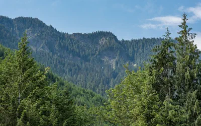 Emerald Valley Inn