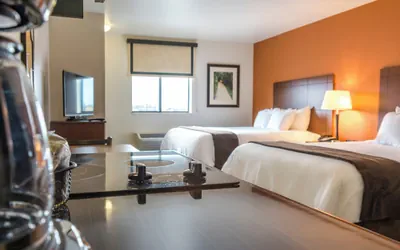 Photo 4 - My Place Hotel - Hastings