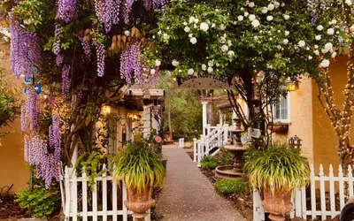 Photo 2 - Glen Ellen Inn