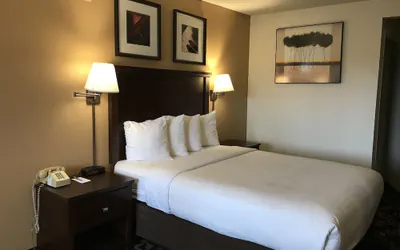Photo 4 - MorningGlory Inn & Suites