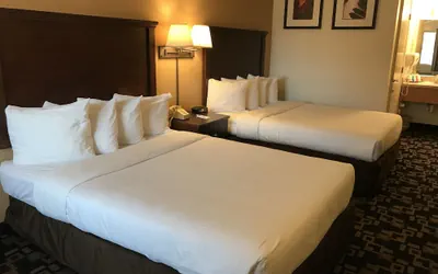 Photo 3 - MorningGlory Inn & Suites