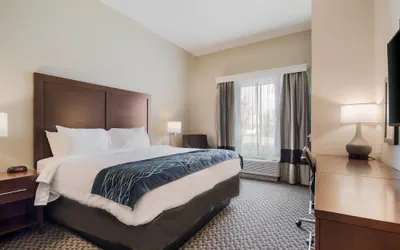 Photo 2 - Comfort Inn & Suites Rock Hill Northeast