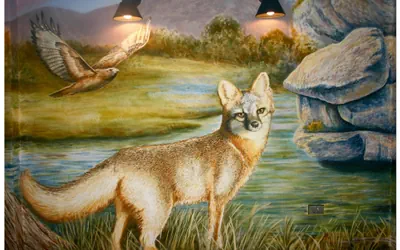 Photo 3 - Hotel Flora & Fauna