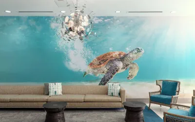 Photo 4 - SpringHill Suites by Marriott Bradenton Downtown/Riverfront
