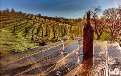 Papillon Cellars