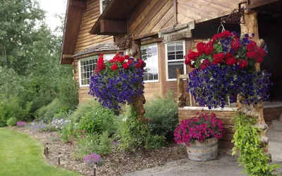 Photo 2 - Fin and Feather Inn