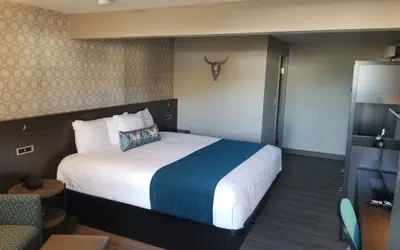 Photo 3 - The Hotel Y, a Dazzler Select by Wyndham
