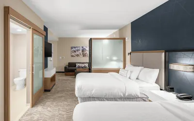 Photo 4 - SpringHill Suites by Marriott Jackson
