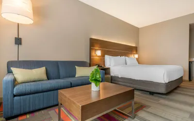 Photo 4 - Holiday Inn Express & Suites Ruskin by IHG