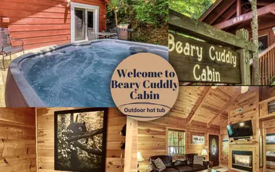 Beary Cuddly