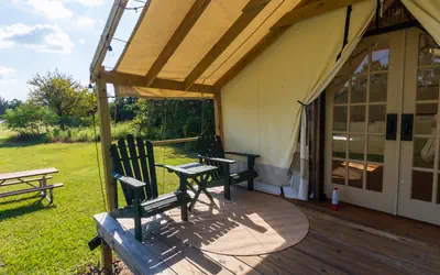 Cozy Forest Retreat near Sam Houston National Park