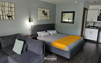 Modern Moose | Free Shuttle to SDC