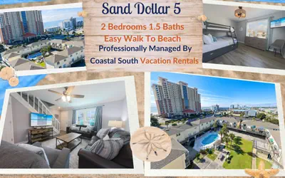 Sand Dollar 5