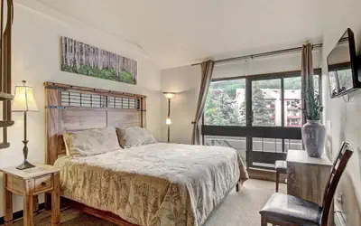 Pet-Friendly Ski in Ski out Condo 30 Second Walk to Lift  - SF204