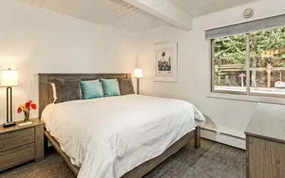 Aspen Alps Apartment #103