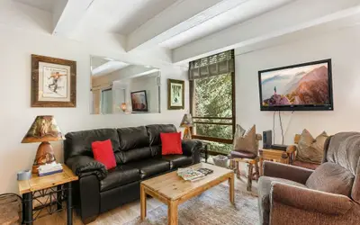 311 Vail International