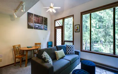 14SW-Fireplace-Dishwasher-Washer/Dryer-Sleeps 6