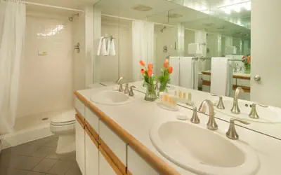 Aspen Alps Apartment #101