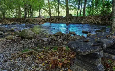 Home Sweet Home on Cosby Creek